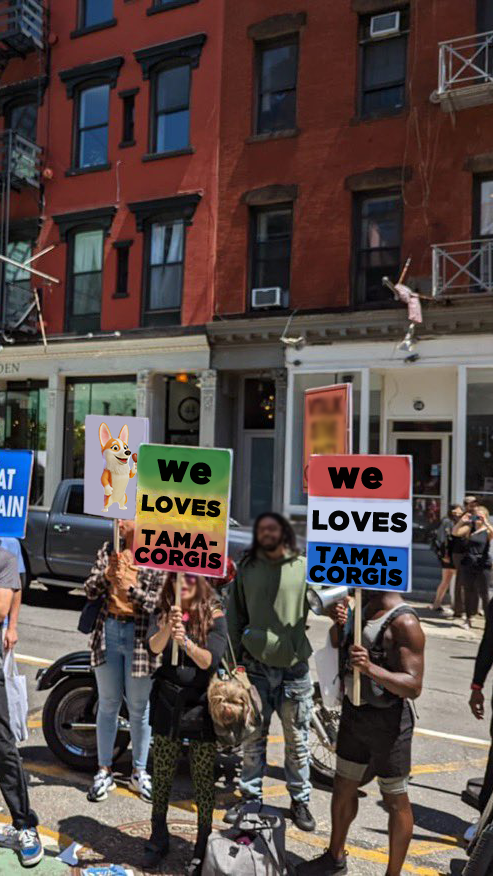 Tamacorgi tweet media