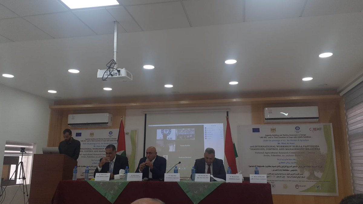 cure_xf's tweet photo. our 3rd workshop on Xylella fastidiosa diagnosis, control and management measures in Palestine just started @CIHEAMBari @MMoujabber https://t.co/keLJsuFfPx