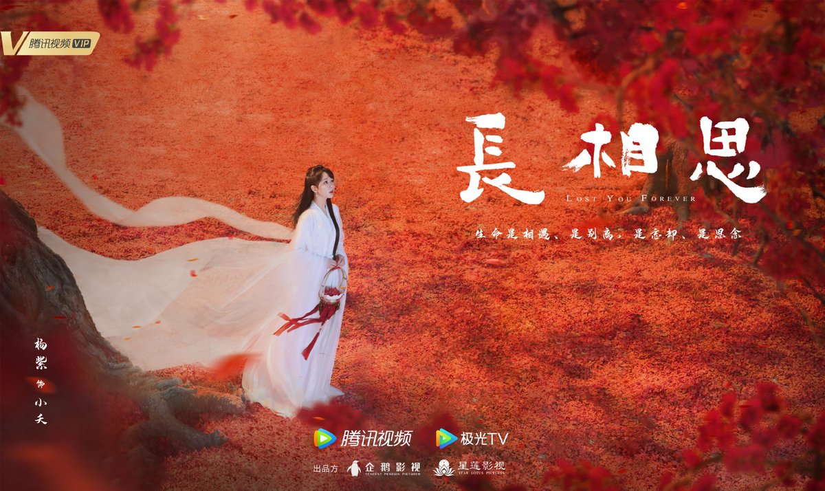 midnightbliss01's tweet photo. Original Novel vs Drama Adaptation Poster ✨ 
#LostYouForever #长相思 https://t.co/CUrWhI0maD