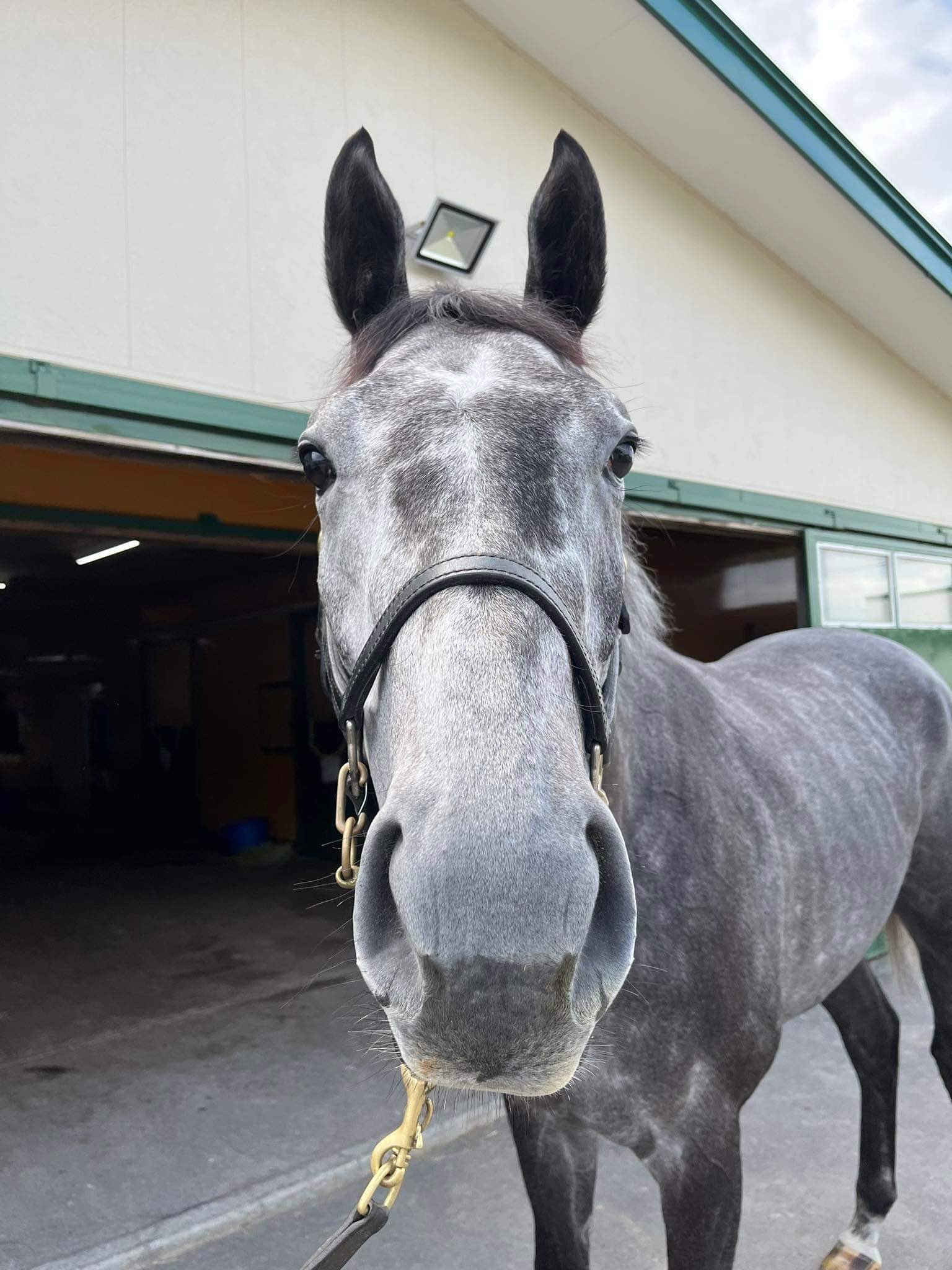 村上卓史 競馬専用 Muramuraumauma Twitter