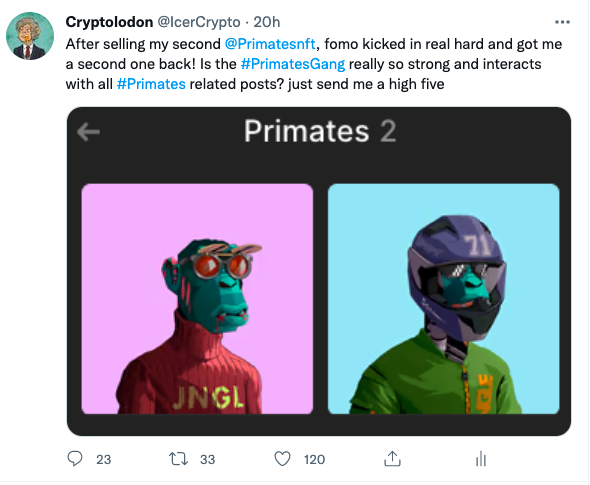 CryptolodonSol's tweet photo. YOOOO @Primatesnft Gang! you are cracking! Very impressive these 120 likes and interactions! The vibes are on point! I'm really looking forward to this ride and happy to joined this fam! 
#PrimatesNFT #PrimatesGang #Solana #SolanaNFT #SolanaSummer https://t.co/HxV8S6PT7s