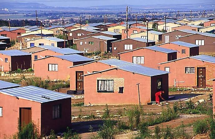 Guys let's plant trees in out hoods 
The air is bad ...plant a tree🏝
It's too hot ....plant a tree🏕
Our soil is damaged..plant a tree.🌲
Protect our water ...plant a tree☘
Need some food ...plant a tree🌾
You cheated on your girl plant a tree🌹
#sowetoshutdown