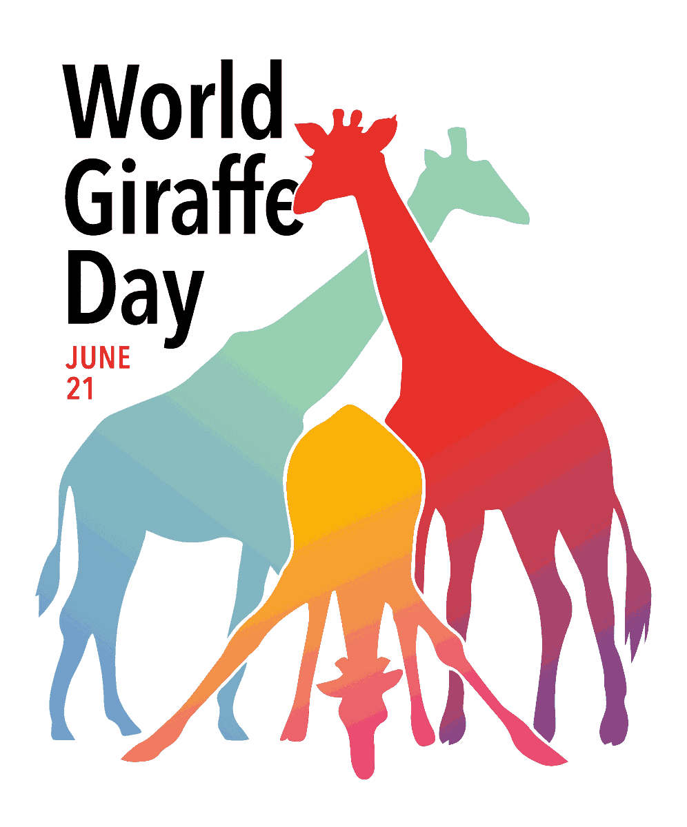 InmisoC's tweet photo. Today we celebrate #WorldGiraffeDay. World Giraffe Day is an exciting annual event initiated by GCF to celebrate the longest-necked animal on the longest day (or night – depending on which hemisphere you live!) of the year on 21 June – every year! #StandTallForGiraffe https://t.co/KTeXx6t4bv