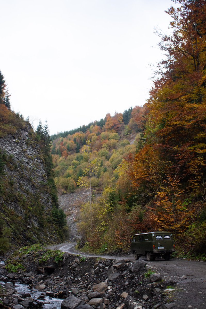 krutovig's tweet photo. More colours of that fall. #carpathians #mountains #fall #autumn #travel #travelphotography #travelblogger #wanderlust https://t.co/r8LAwVMTKk