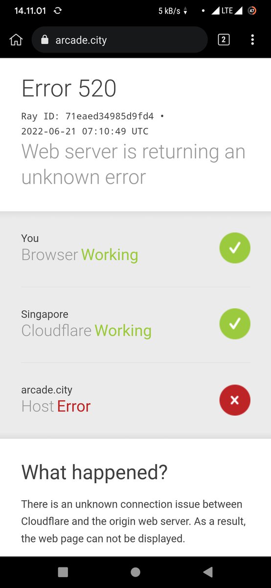 Miss Crypto tweet media