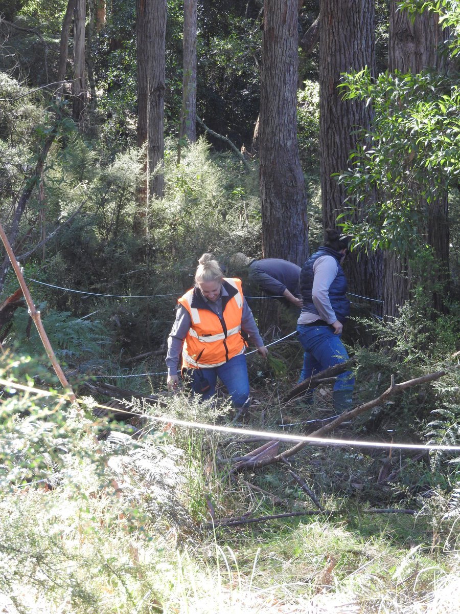 Trust for Nature Conservation covenant properties in East Gippsland monitored as part of the nationwide MER Network post-fire recovery monitoring program <a href="/eastgippscma/">East Gippsland CMA</a> <a href="/TERN_Aus/">TERN</a> @Envirogov <a href="/SuzanneProber/">Suzanne Prober</a> @SamNicol16 <a href="/CSIRO/">CSIRO</a> <a href="/trustfornature/">TrustforNature</a>