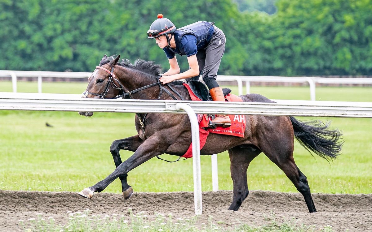 ahaynesracing's tweet photo. Back to business πͺ
#AHaynesRacing #Colourpin #HorseRacing https://t.co/XS5xN2X406