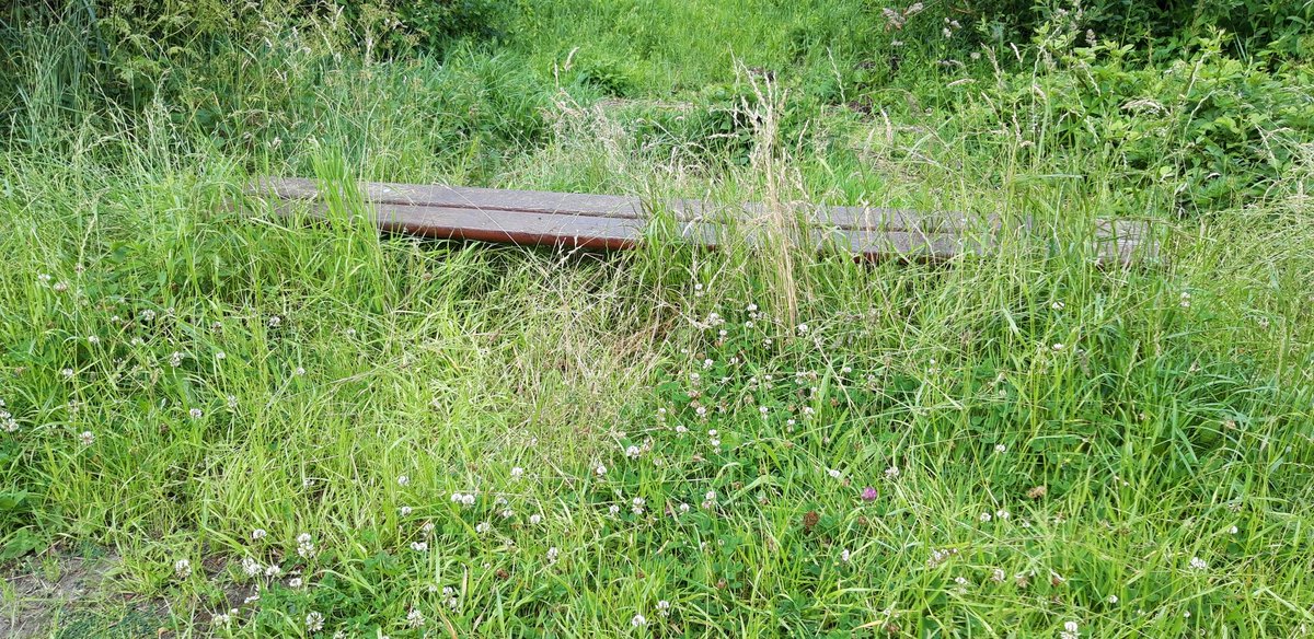 jankoster47's tweet photo. Dit binne de bankjes dy't by #Himmelum oan it Morrapaad stean. Noegje net út om der op sitten te gean. Foei #GemeenteSúdwestFryslân Dit kin dochs wol oars. https://t.co/A67UXmztJ4