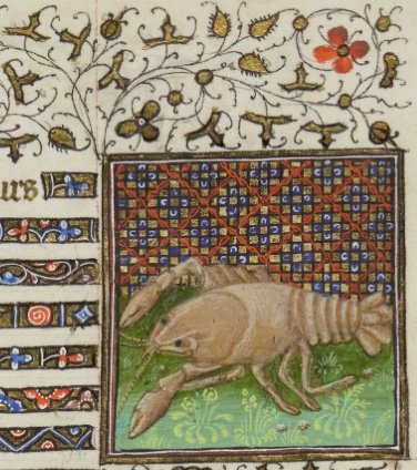 TrinCollLibCam's tweet photo. Marking #SummerSolstice2022 with these charming illustrations for June from some of our medieval Books of Hours ☀️🦀🌻 Read more about the books (B.11.31, B.11.22) and view them online here: https://t.co/LwH9EVcNlE #WrenDigitalLibrary https://t.co/slLlM7Fy0L
