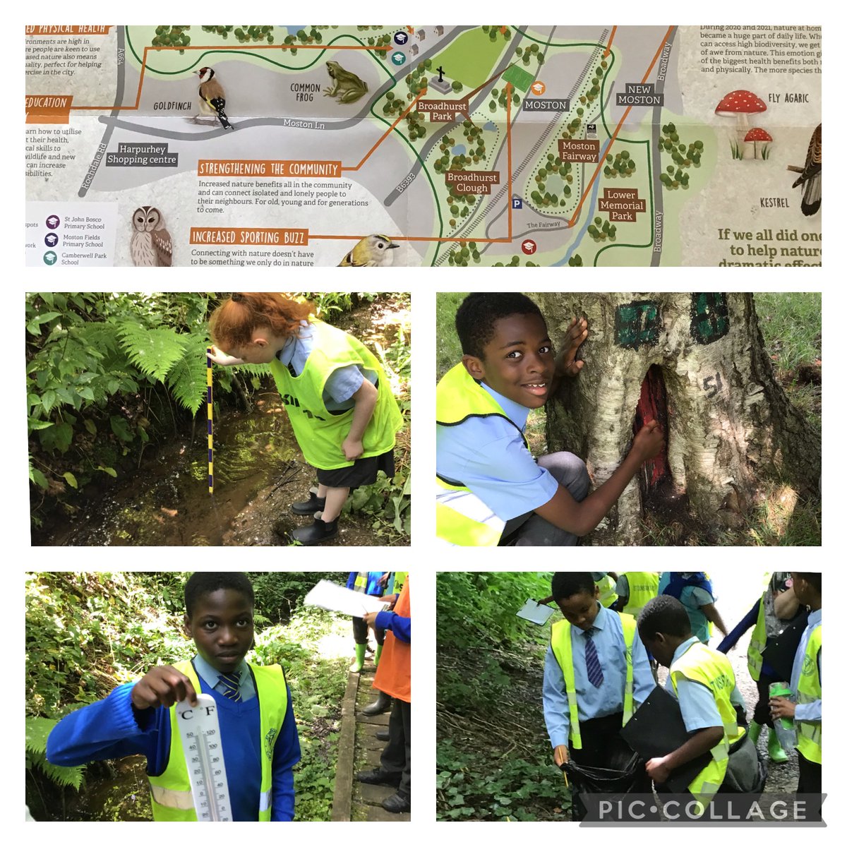 Year 5 went on a field trip to Broadhurst Clough where they measured the temperature, depth, width and speed of Moston Brook and even did some litter picking to improve the local environment. 🌳