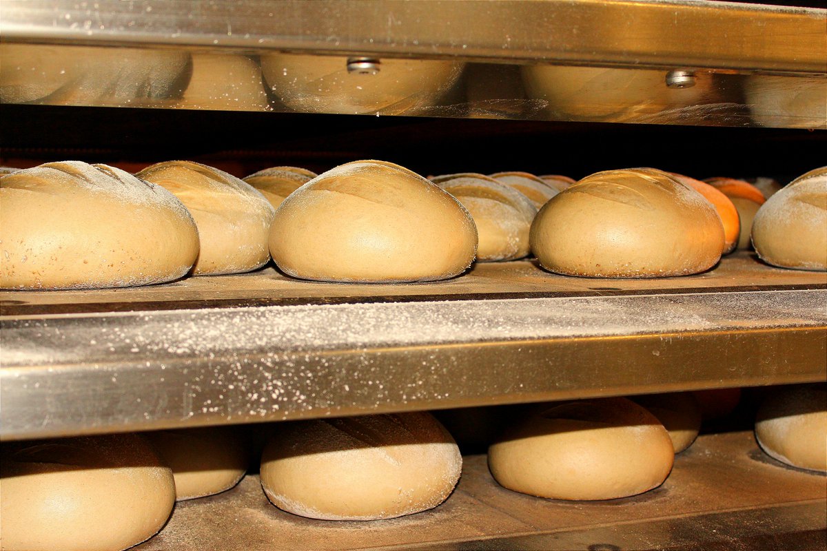 TheBreadskiBros's tweet photo. Morning👋 https://t.co/xidI0uYQ5J