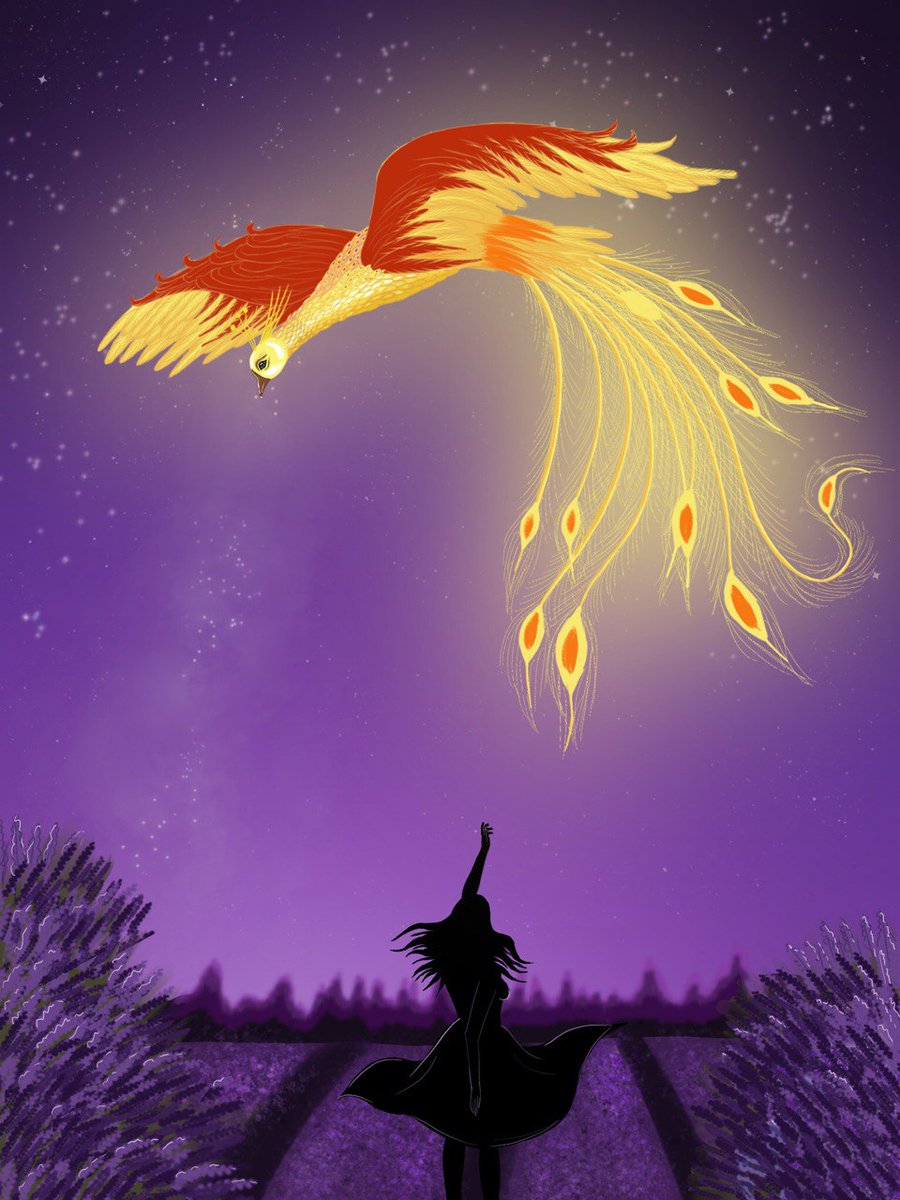 Sharky 🖌 tweet media