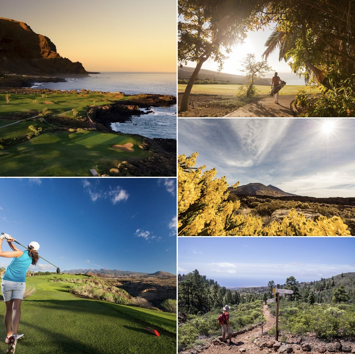 World Corporate Golf Challenge - South Africa tweet media