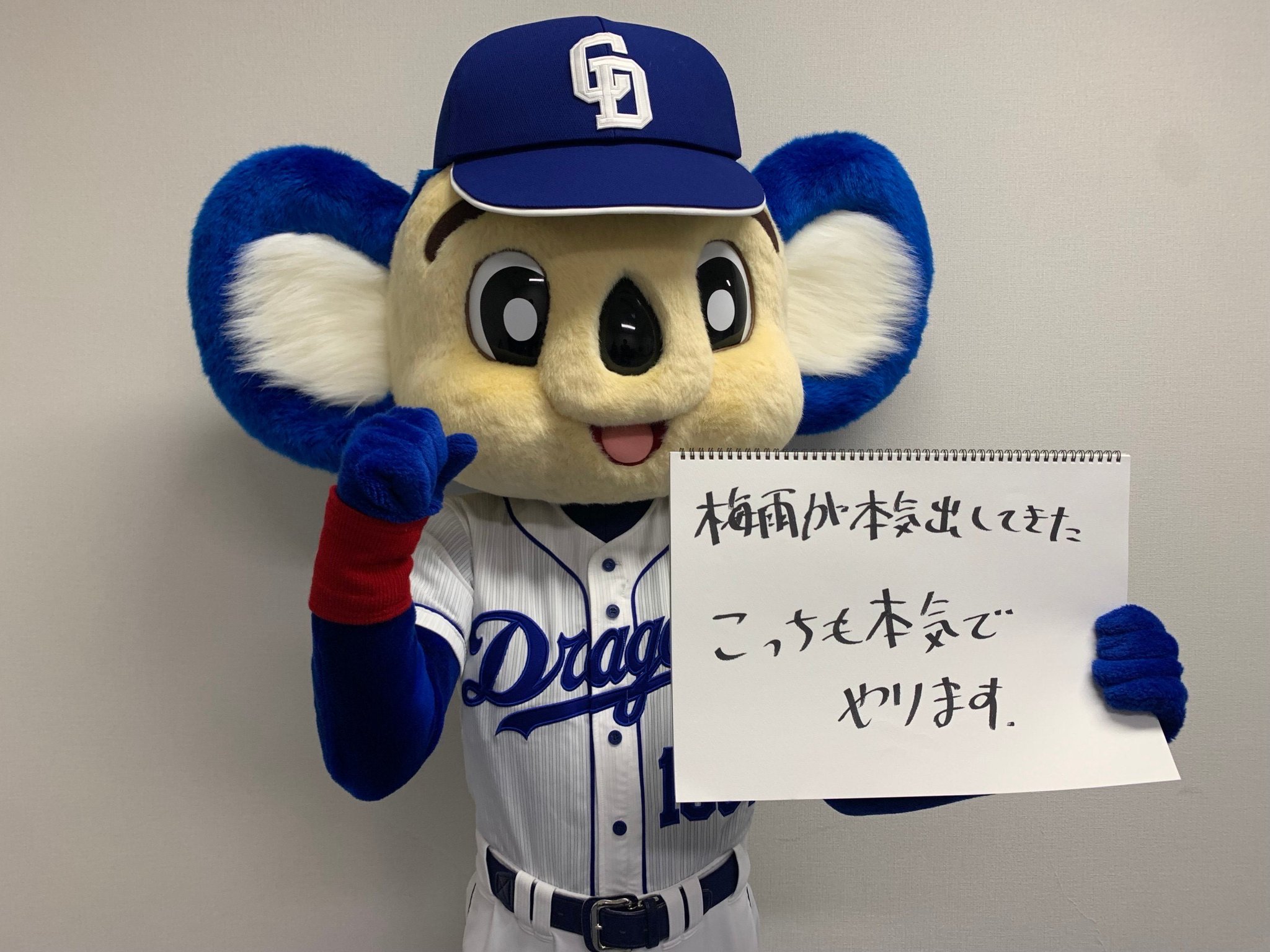 ドアラさんの大きいボール！！ ドアラのおおきいボール - メルカリ