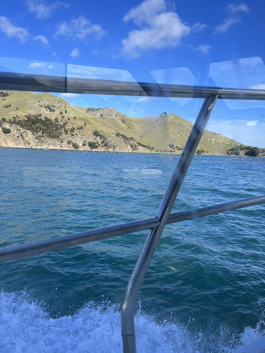 samueltowen's tweet photo. Short notice but managed to grab a few mates to get off farm with @RST_Waikato and spend a few hours fishing . Plenty of happy faces and plenty of Kai Moana to feed the whanau when we returned . https://t.co/DT7Gl5w5PJ