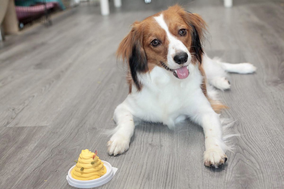 真朱1歳のお誕生日おめでとう💕