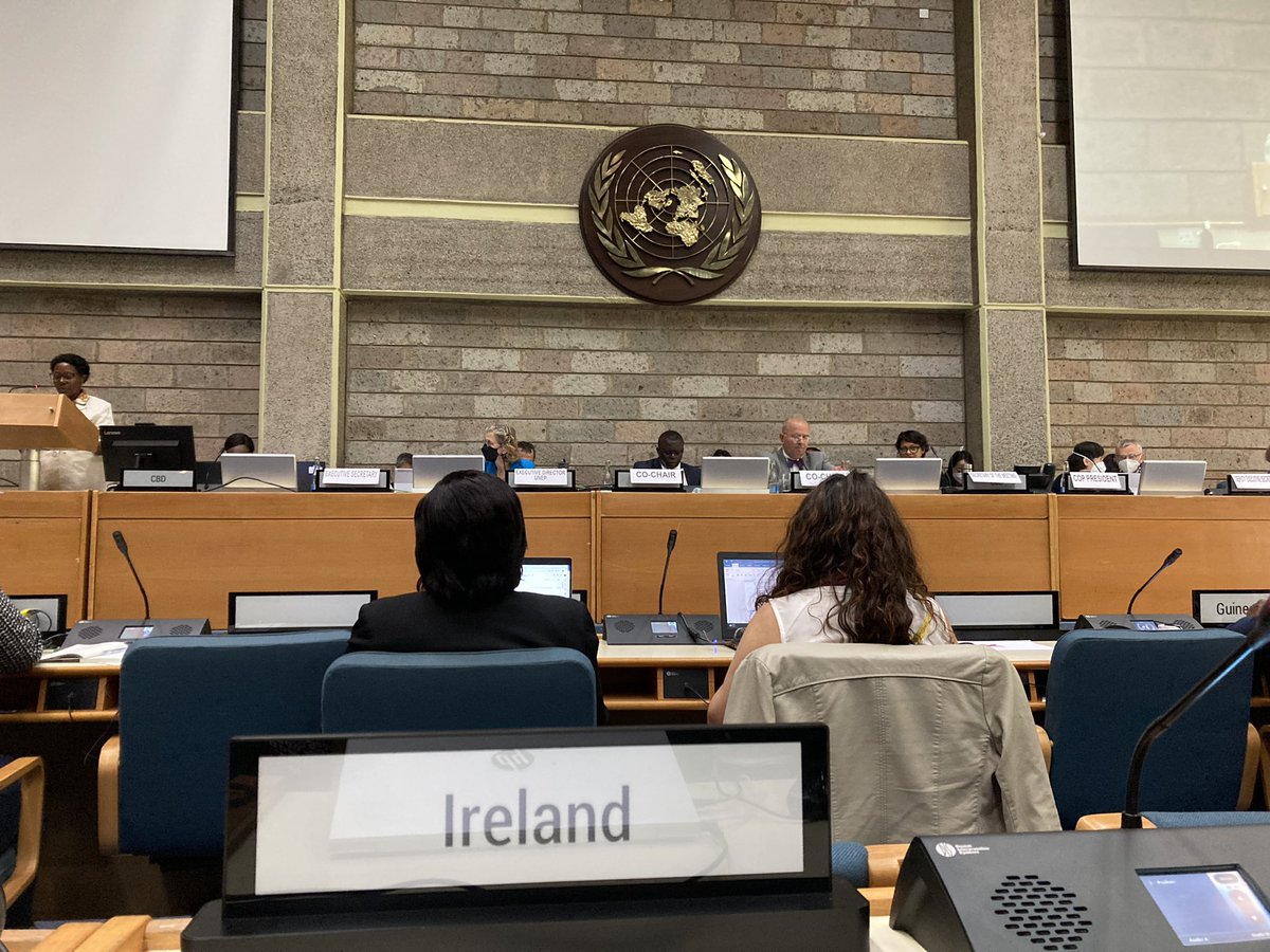 Opening plenary of the WG2020-4 in Nairobi. We will continue negotiations on the #post2020 Global Biodiversity Framework. Attended by @sunnydlynn and @Ifa_Dee. Thanks to @dfatirl for supporting the meeting.