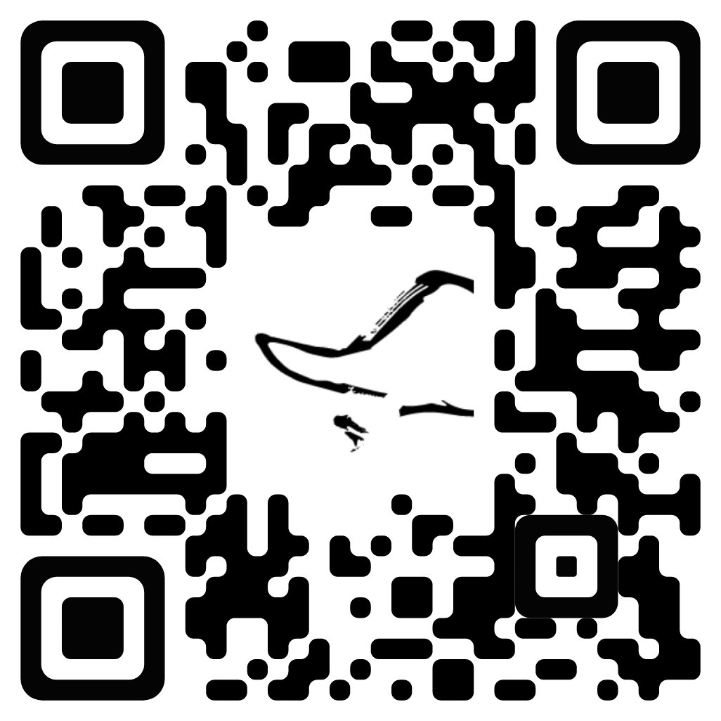 Scan it on phone or check it on pc here for better experience 
pointcloudasset.eu/4/build.html
Using drone🛸 and photogrammetry 💻 I'm uploading datasets online to view it and in future to jump into it VR. What do you think about that ?
