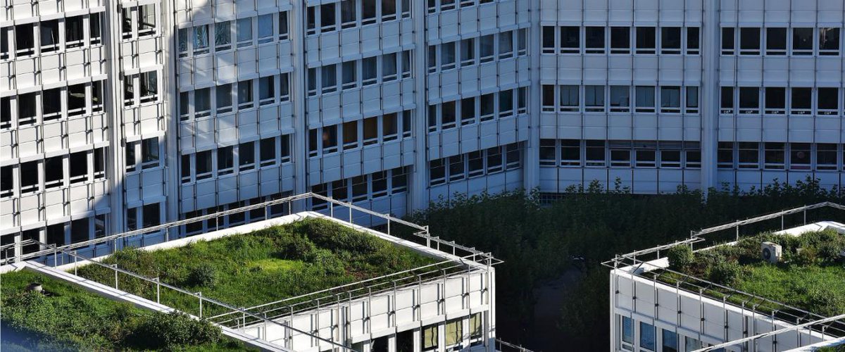 PlatformDH tweet media