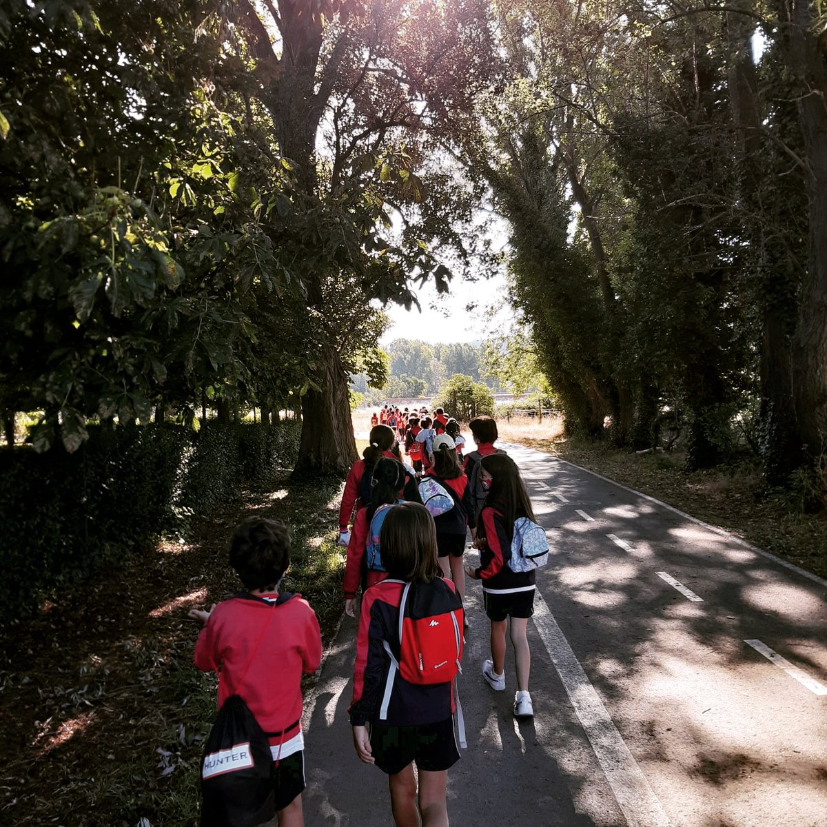 DiscipulasLeon's tweet photo. ¡Qué alegría! 😀
¡Qué emoción! 😜
¡Hoy nos vamos de excursión! 👏
#excursión #convivencia #verano #bienvenidoverano #candamia #lacandamia #leonesp https://t.co/GpU9lcWd24