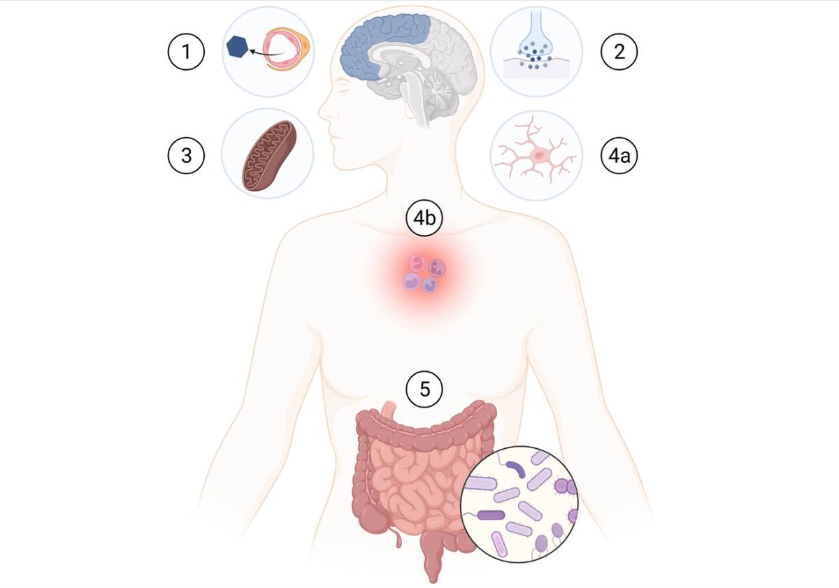 LIDSEN_Publish's tweet photo. New articles from #RecentProgressInNutrition
📗Ketogenic Therapy for Major Depressive Disorder: A Review of Neurobiological Evidence
🔗https://t.co/TOHVF15toH
🔗https://t.co/i02YNciD8L
#Diet #Nutrition #Mental #health #youth https://t.co/n11byqsBCV