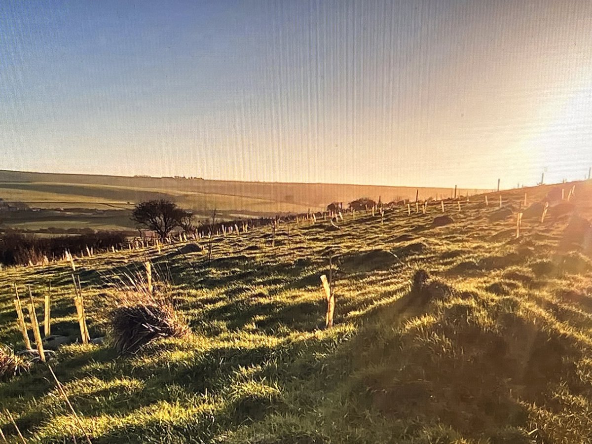 checkmate.uk.com tweet media