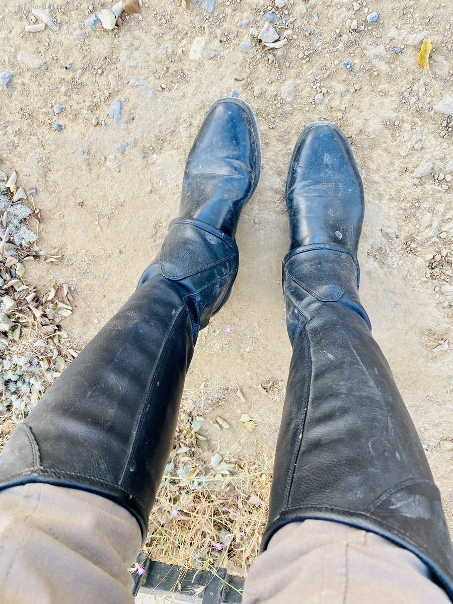 campojac2022's tweet image. Not being beaten. #ariats abandoned for now until I can find a cobbler or mend them myself 

#horselife #alwaysasolution #fearwomen #notmonday