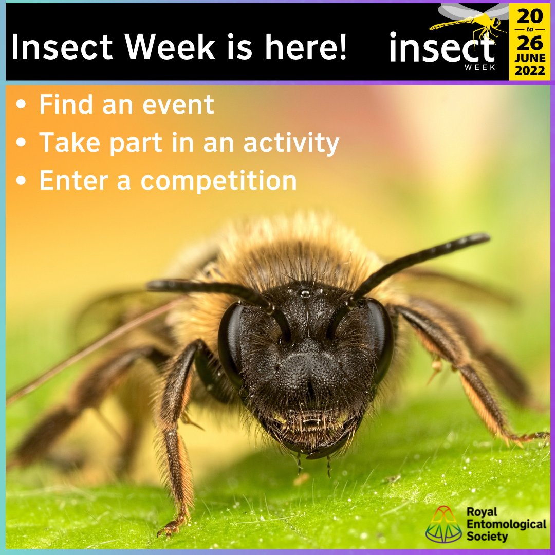 insectweek's tweet photo. InsectWeek is here! 🐞
Enjoy our celebration of all things #insect & #LittleThingsThatRunTheWorld
What will you #Discover?
https://t.co/eu3RtzatiH
#Entomology #Science #BBCEarth #Education #InsectPhotography
#RESfuture #InnovatingWithInsects #EnrichTheWorldWithInsectScience https://t.co/0byWHEHETe