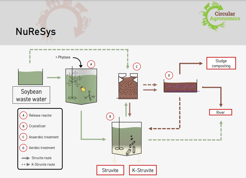 And today is our 4rth #TechnologyTuesday

Valuable minerals can be recovered from soybean processing waste water. The #NuReSys technology tested in #H2020 <a href="/CircularAgro/">Circular Agronomics</a> produces N-struvite and K-struvite with up to 90% P recovery!

📥Read our factsheet: bit.ly/3n1L45B