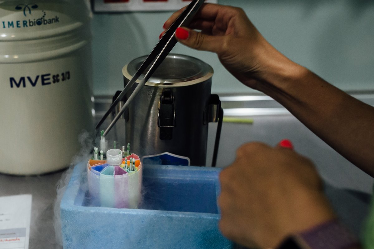 boell_gender's tweet photo. π΄ The #fertility market is growing steadily and is expected to reach a market volume of $47.9 billion by 2030.
π΄ What are the ethical and medical implications of these technologies?
#ReframingReproTechnologies @gwi_boell
Register! We start at 2 pm! β‘οΈhttps://t.co/NHK8U1dxcp https://t.co/FLE7Xpo44m