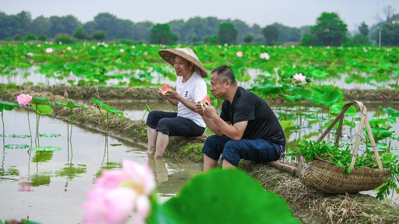 PDChinaLife's tweet photo. #CodeofNature: June 21 is the Summer Solstice of this year. What does “solstice” mean in this context? Does it mean arrival? In fact, the “solstice” here refers to "the extreme, the utmost", and emphasizes the extreme in astronomical sense. Find out more: https://t.co/A1IOCyu7U7 https://t.co/v7XBxS1n3j