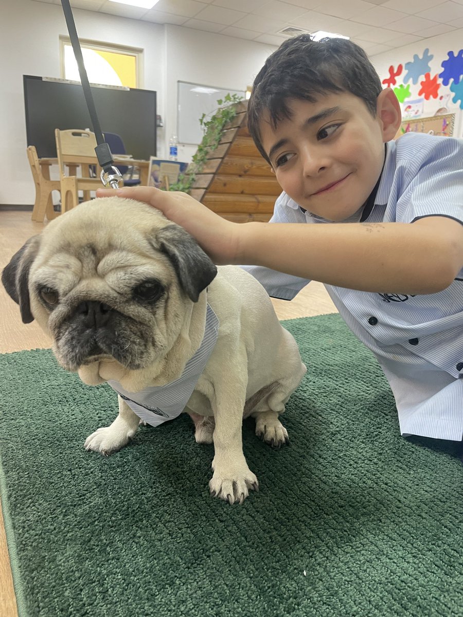 JESSPrimaryYR1's tweet photo. Reading with Bugsy is just the best! 🐶📚@readingdogsuae @JESSPrimary @JESSDubai https://t.co/q185kkyPJz