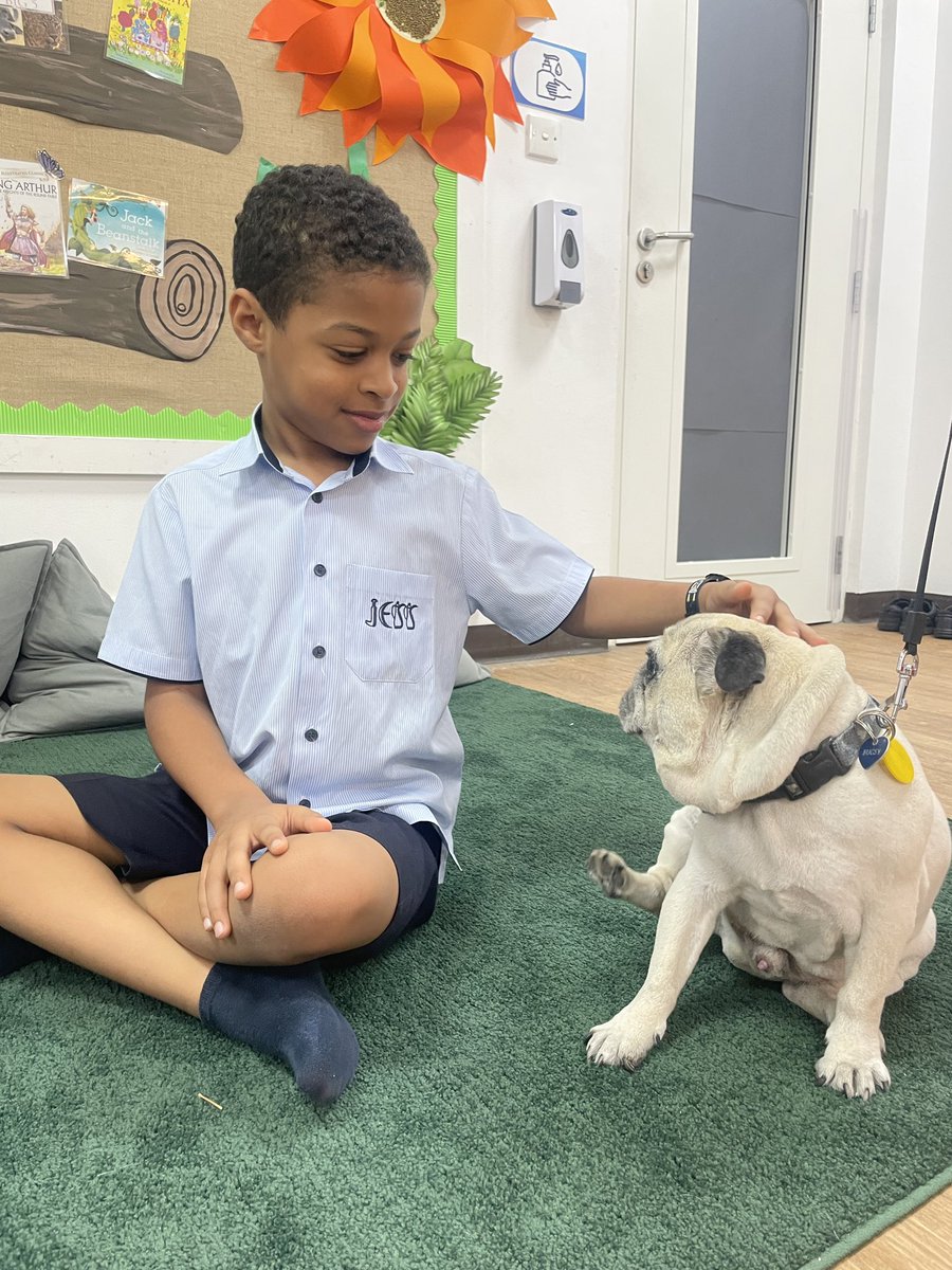 JESSPrimaryYR1's tweet photo. Reading with Bugsy is just the best! 🐶📚@readingdogsuae @JESSPrimary @JESSDubai https://t.co/q185kkyPJz