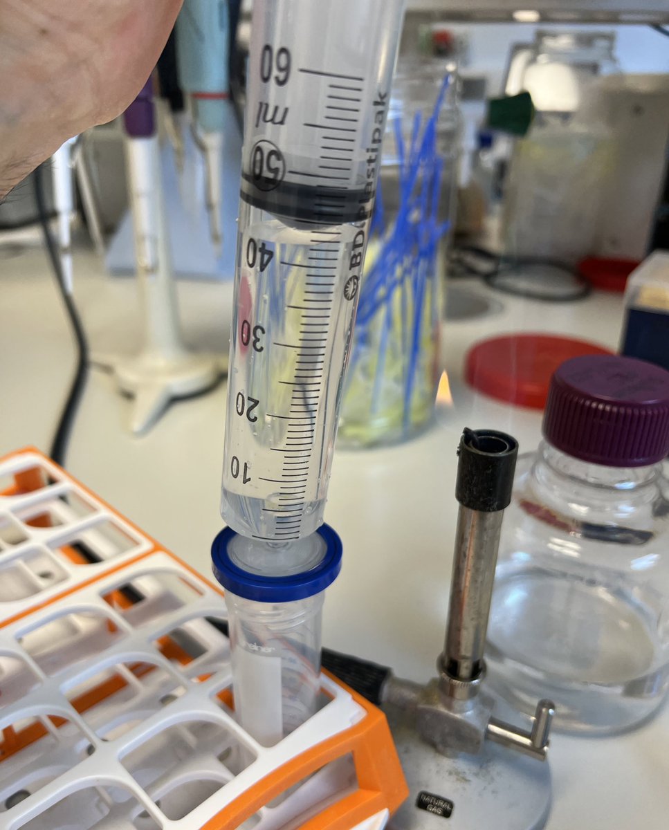 ilyas_alav's tweet image. Who needs gym when you can work out by pushing a liquid through a filter using a 50 mL syringe? 💪🏼