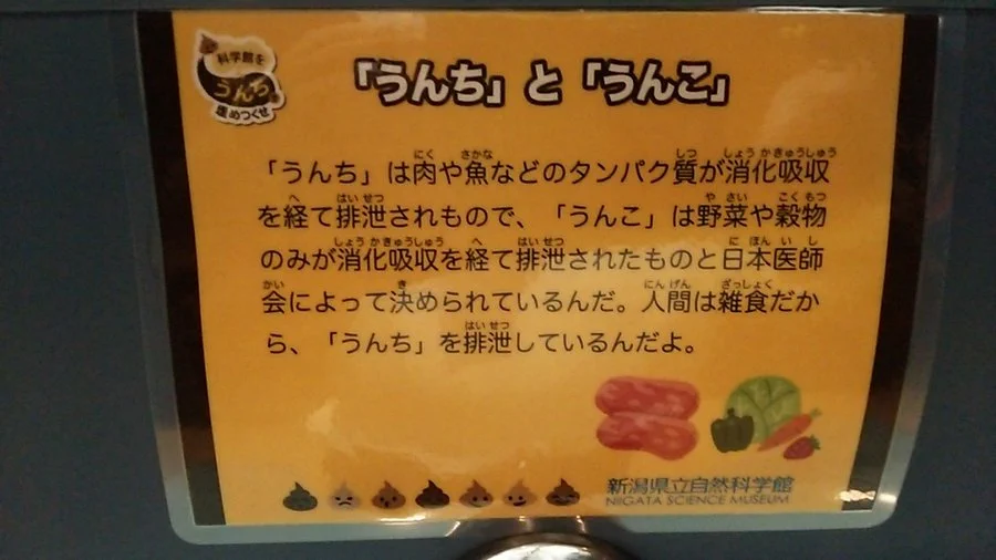 @ringohimelv1000 肉や魚などのたんぱく質なので「うんち」で合ってますね😉 