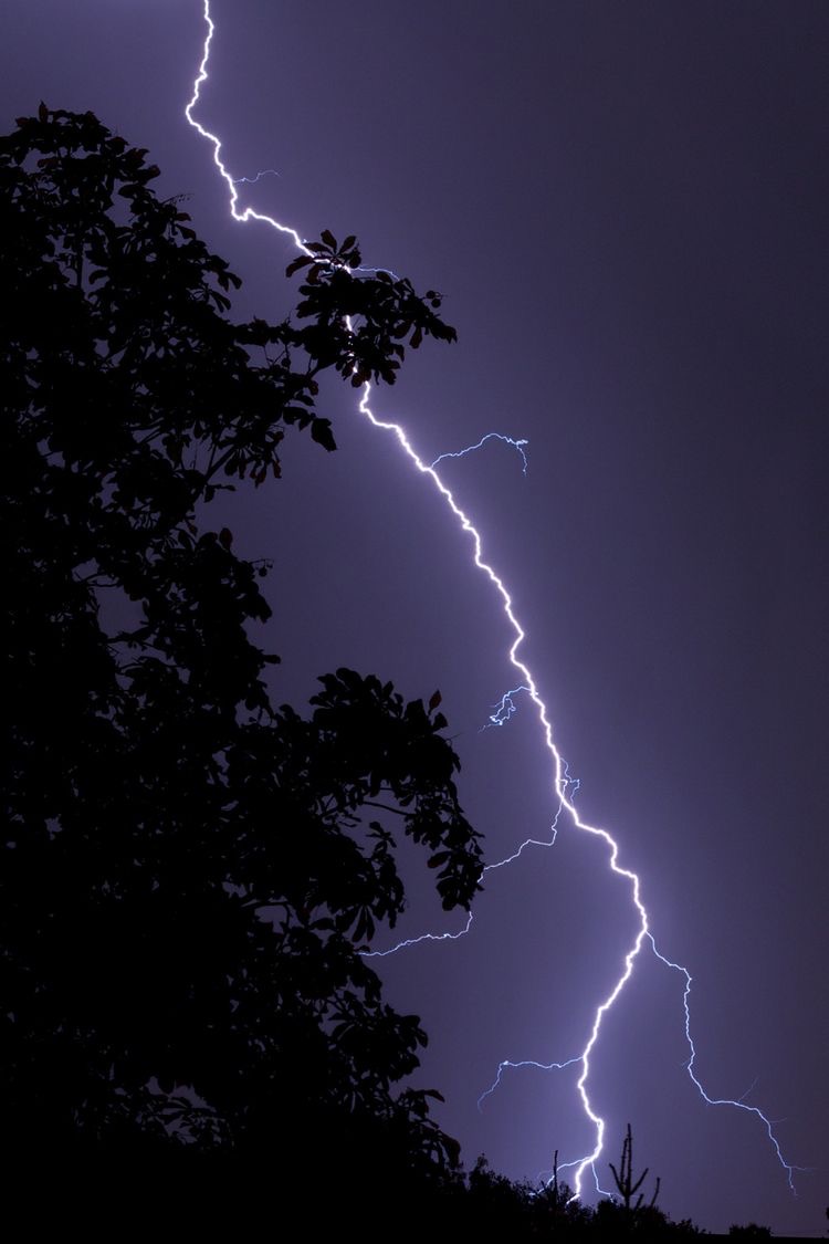 Грозовая туча будет вечно висеть над твоей пустой головой. Великий Сёгун не пощадит даже заблудшую душу. Её клинок способен рассекать горы. Именно поэтому я бы не советовала тебе сопротивляться. Именем комиссии Тэнрё, ты арестован!