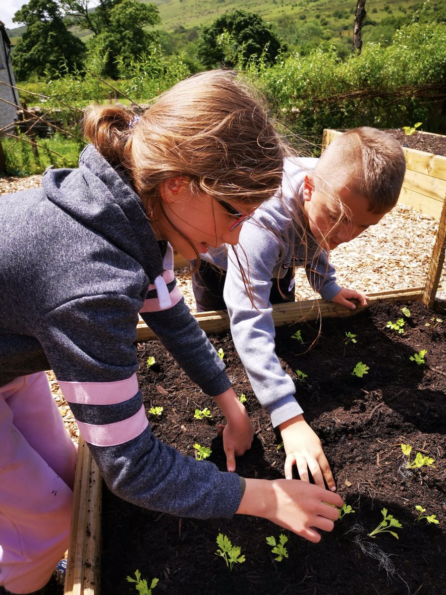 Shallowford Farm tweet media