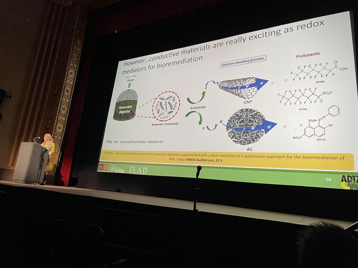 Magdalena’s Alves advertised a presentation by Ana Rita Silva about the exciting potential of adding conductive materials for enhanced degradation of PFOS and PFOA #AD17 ⁦<a href="/IWA_AD17/">IWA_AD17</a>⁩