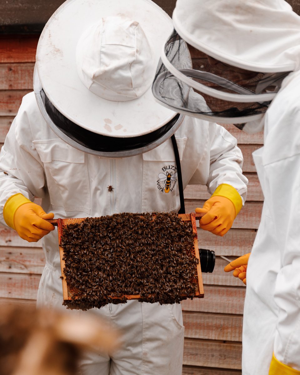 endclothing's tweet image. Following Pure Buzzin’s 'Introduction to Honeybees' guest feature over at END. Features, we visited their community hives in North Shields to get hands on with the world of apiculture, or beekeeping.
​
​Find out what we got up to here: end.global/t5w.