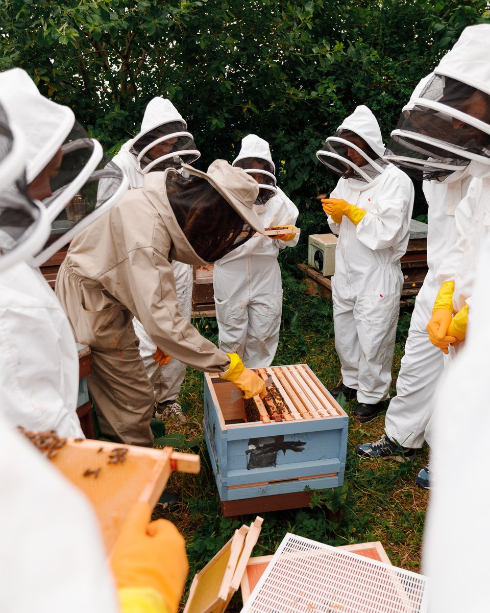 endclothing's tweet image. Following Pure Buzzin’s 'Introduction to Honeybees' guest feature over at END. Features, we visited their community hives in North Shields to get hands on with the world of apiculture, or beekeeping.
​
​Find out what we got up to here: end.global/t5w.