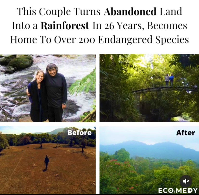 those who are most inspired by nature will heal the planet 🌎

..talk about sustainable design🌱