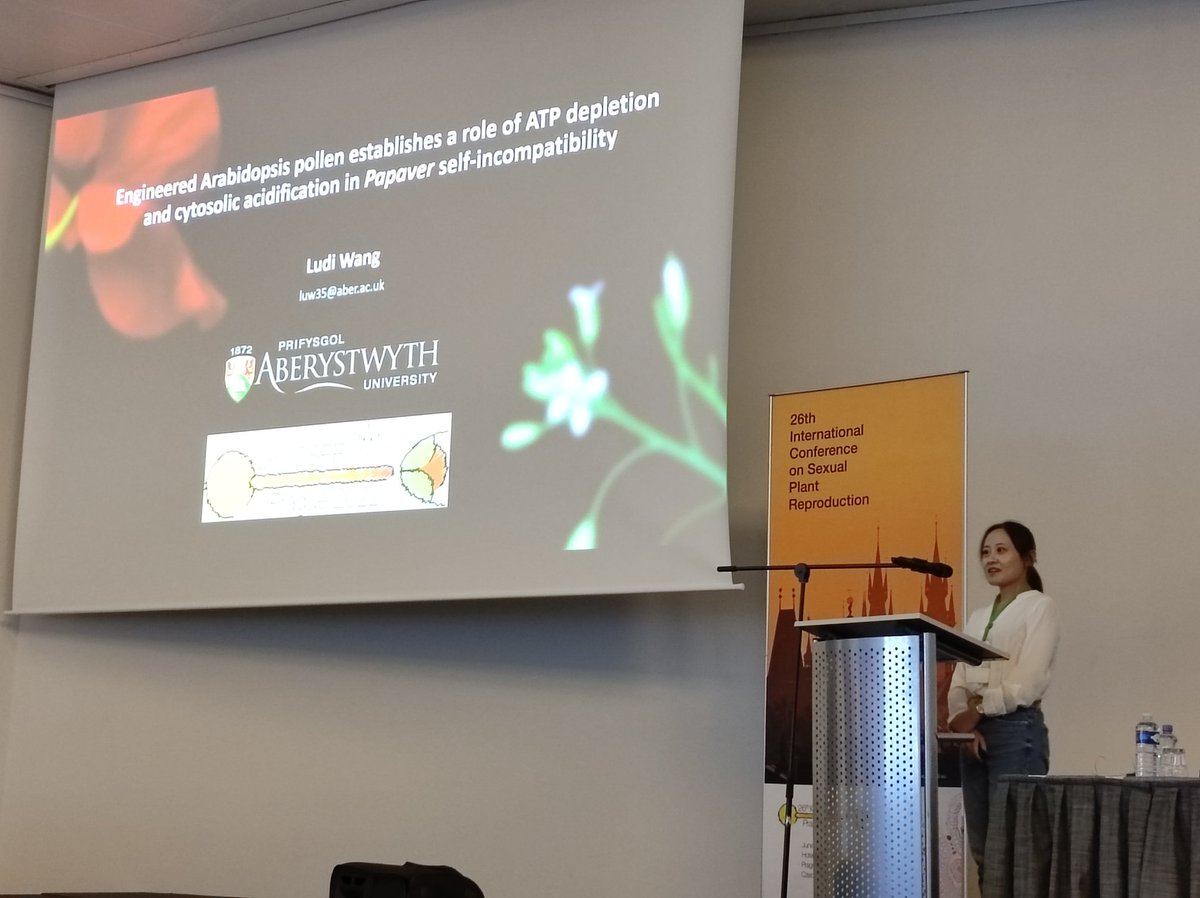 iasprr's tweet photo. We continue with the presentation of Ludi Wang @AberUni about how engineered #Arabidopsis #Pollen establishes a role of ATP depletion and cytisolic acidification in #Papaver #SelfIncompatibility #ICSPR2022 ๐ฑ https://t.co/ixVYEsmrHL