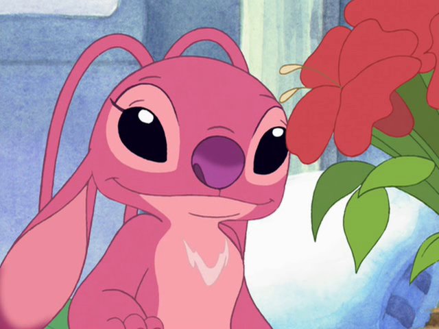 steffibethg's tweet photo. Me dieron flores 🥺🥰
#Roma3 #pancoe19 https://t.co/iW6PzRAY7Y