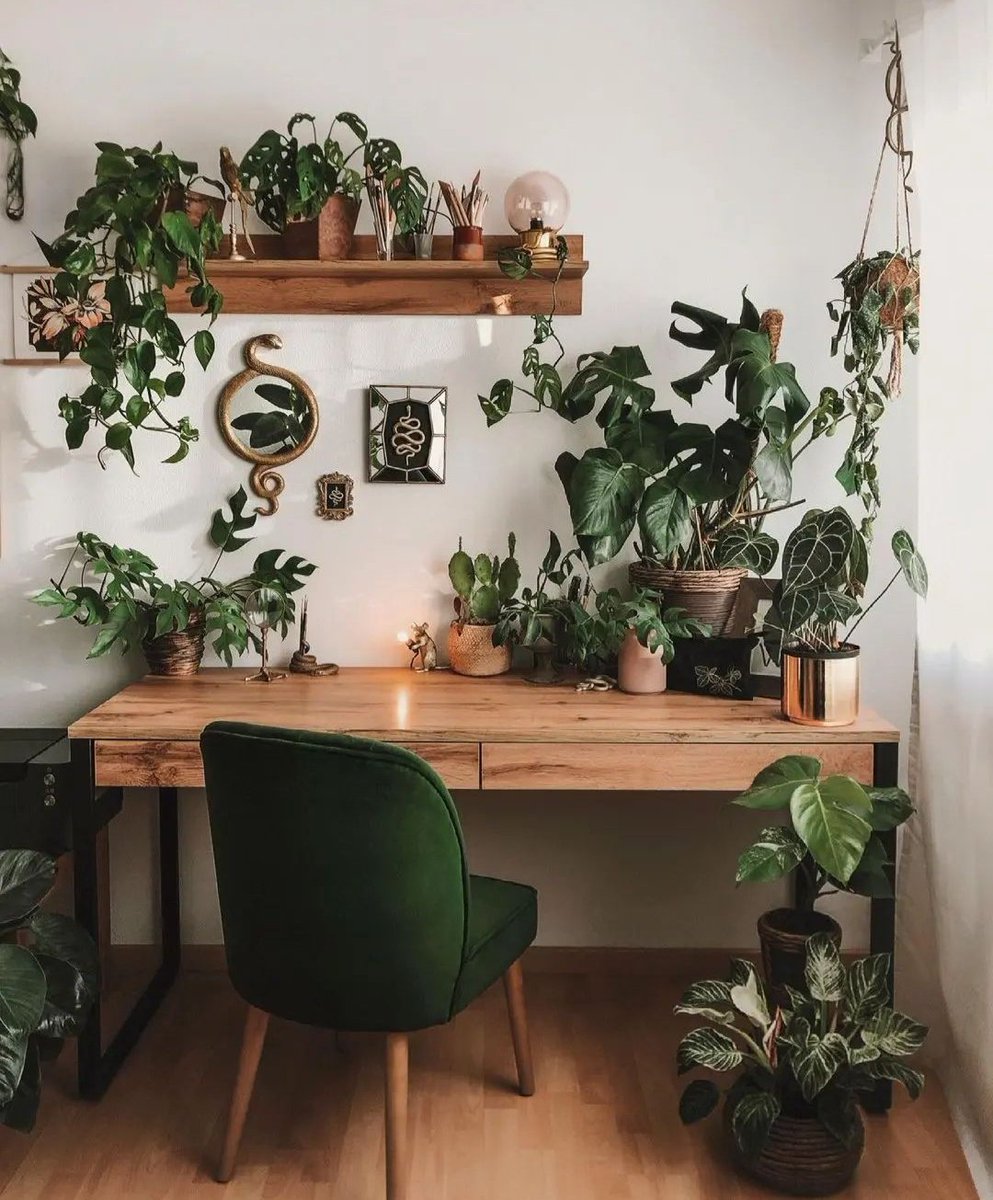 Green Green Green 🌿