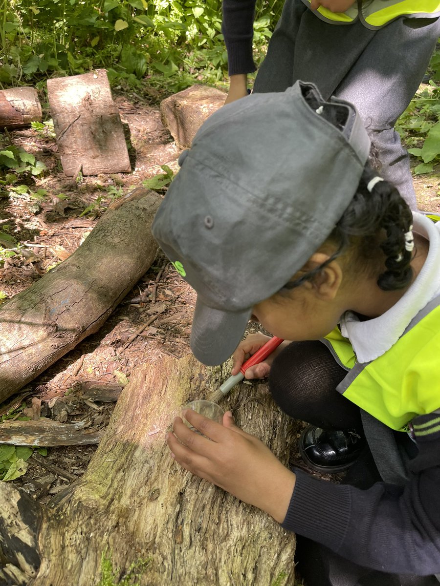 No other way to end the day than a minibeast hunt under the sun 🕷🪱🐞🦟<a href="/WWTMartinMere/">WWT Martin Mere</a> <a href="/OliveTreeBolton/">Olive Tree Primary</a>