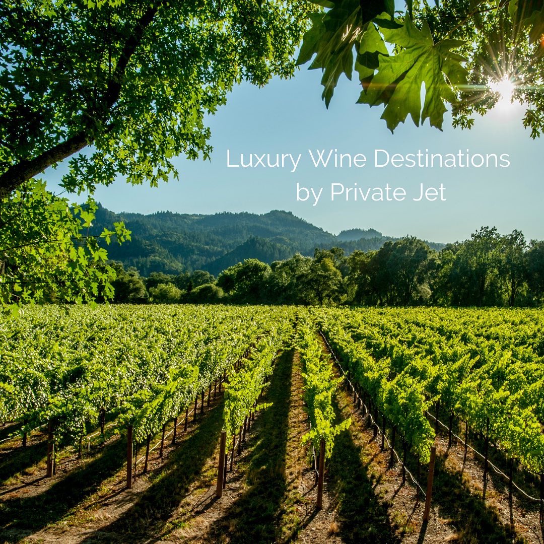 FXAIR Europe tweet media