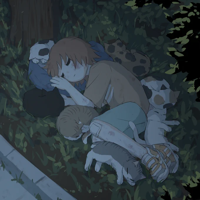 野良猫 