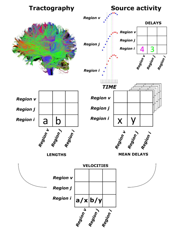 PierpaSorre's tweet photo. How to measure the speed of propagation of activity across the white tracts? Well, merge DTI and magnetoencephalography! How? Come see my poster on Wed and Thu #OHBM2022 (WTh299) to find out !! Keen to chat with you about it! @OHBM https://t.co/f5HtgrPY7W
