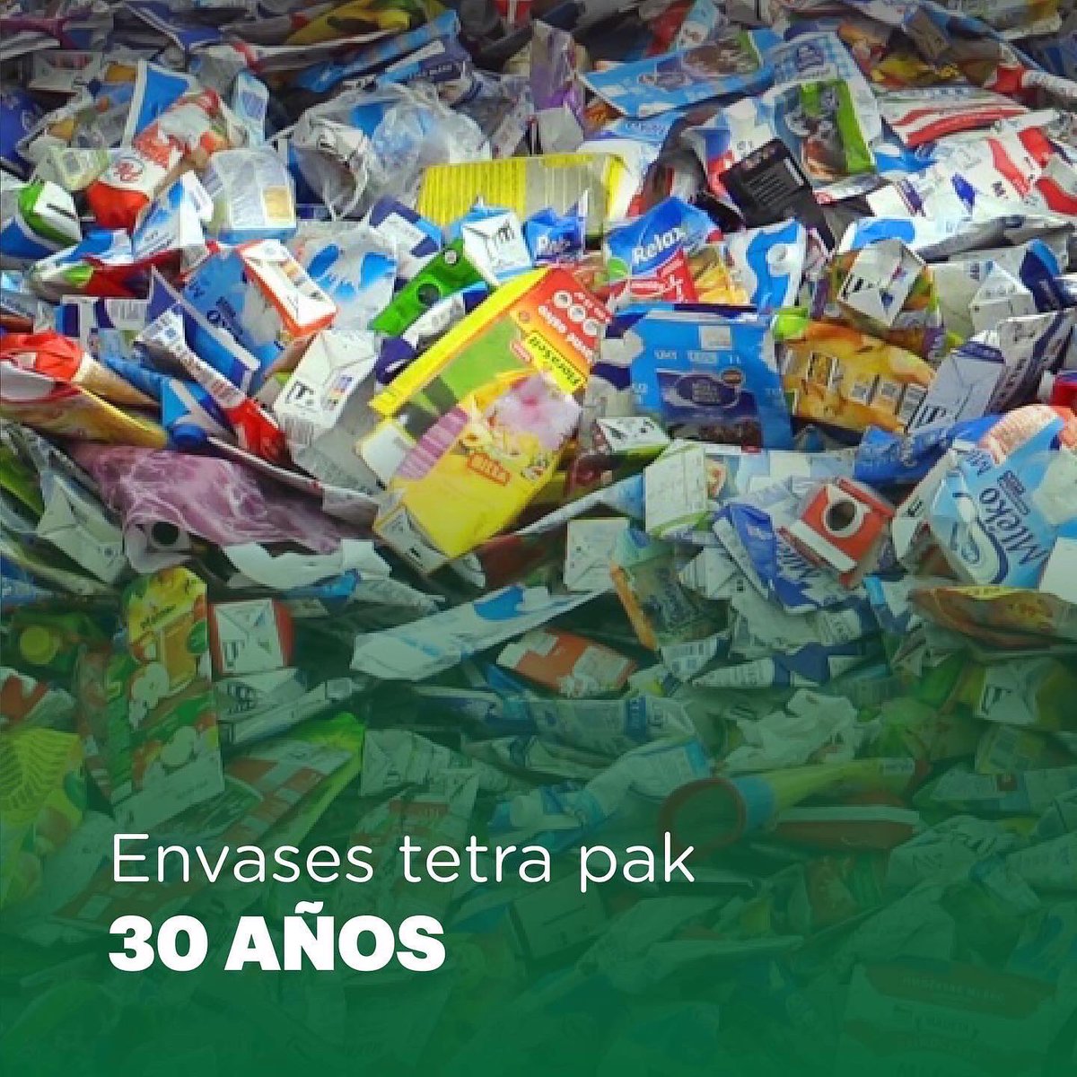 vermontrd's tweet photo. ❌ Lanzar envases, o cualquier otro residuo sólido a la calle nos cuesta 100 o más años de daños negativos a nuestro medio ambiente, ¿lo habías pensado anteriormente? 🤔

Desliza y aprende qué tiempo toma para que eso que tiras a las calles se degrade. ♻️ 

#Rellenosanitario #eco https://t.co/mP7ekYMeS7