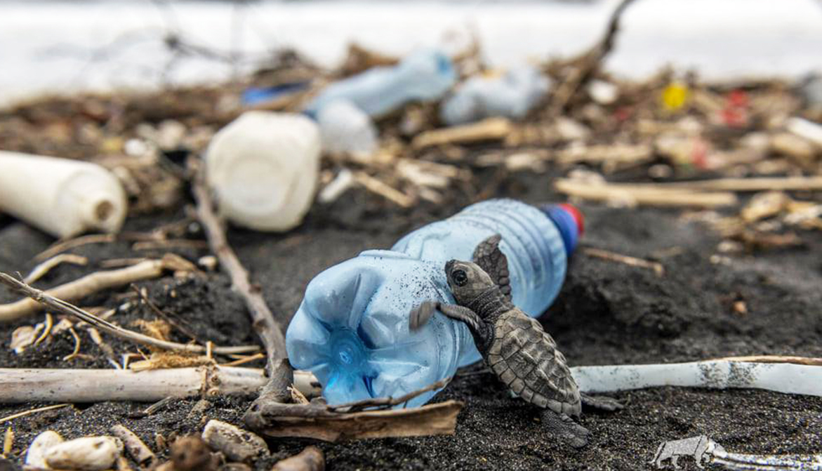 30millionsdamis's tweet photo. La #PollutionPlastique n’est pas un cliché : elle tue chaque année des milliers d’animaux. Un fléau accentué par la crise de la #Covid19. Aux Etats d’adopter des mesures à la hauteur des enjeux ! #RéAgissons #ChangeonsDeModèle #JeudiPhoto 👉 https://t.co/4Gyubn5cnf https://t.co/DV9qAosIJh